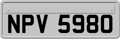 NPV5980