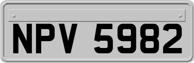 NPV5982