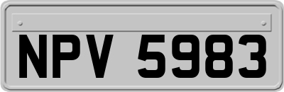NPV5983