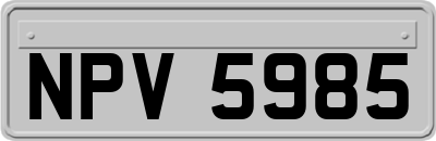NPV5985