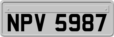 NPV5987
