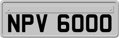 NPV6000