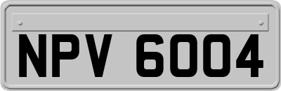 NPV6004