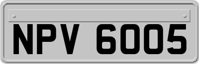 NPV6005