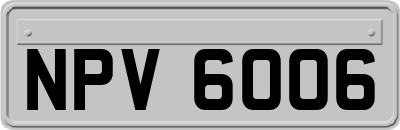 NPV6006
