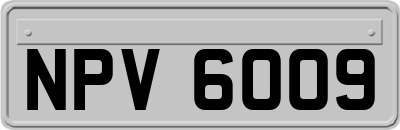 NPV6009