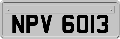 NPV6013