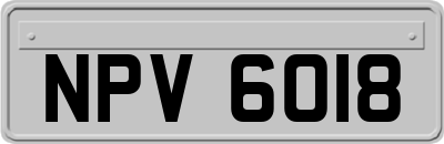 NPV6018