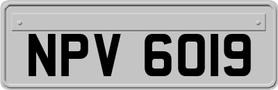 NPV6019