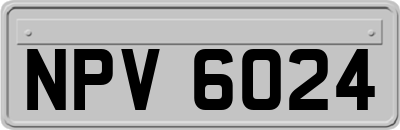 NPV6024