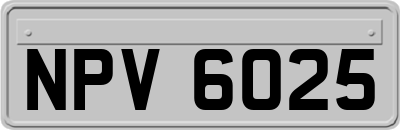 NPV6025