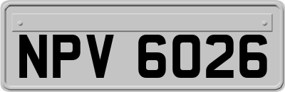 NPV6026