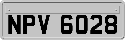 NPV6028