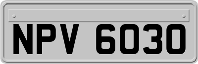 NPV6030
