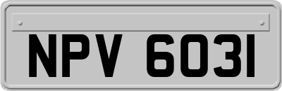 NPV6031