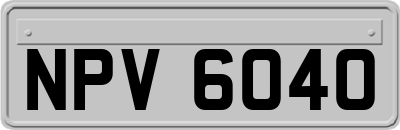 NPV6040