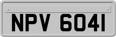NPV6041