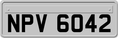 NPV6042