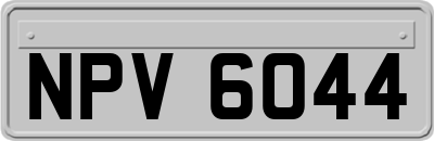 NPV6044