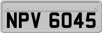 NPV6045