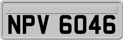 NPV6046