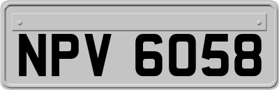 NPV6058