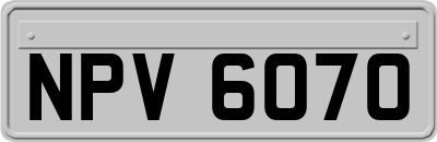 NPV6070