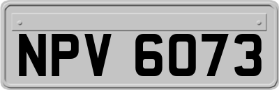 NPV6073