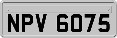 NPV6075