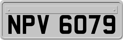 NPV6079