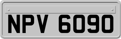 NPV6090