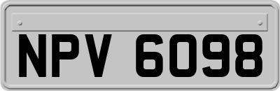 NPV6098