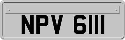 NPV6111