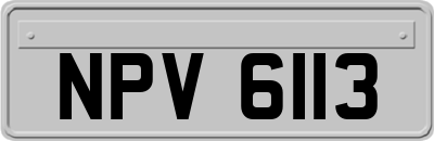 NPV6113