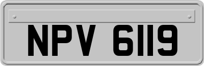 NPV6119