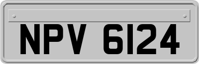 NPV6124