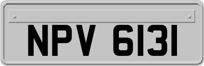 NPV6131