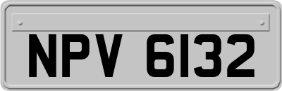 NPV6132