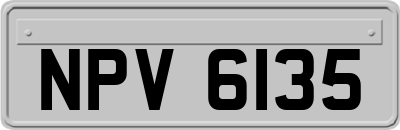 NPV6135