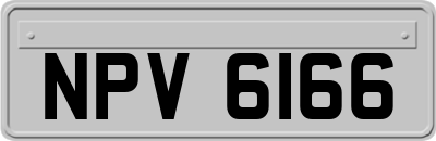 NPV6166