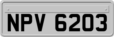 NPV6203