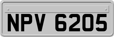 NPV6205