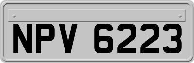 NPV6223