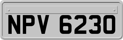 NPV6230