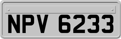 NPV6233