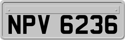 NPV6236
