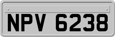 NPV6238