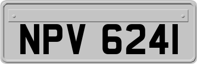 NPV6241