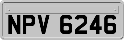 NPV6246