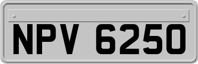 NPV6250